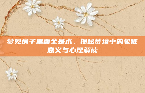 梦见房子里面全是水，揭秘梦境中的象征意义与心理解读