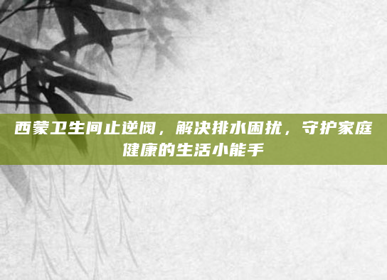 西蒙卫生间止逆阀，解决排水困扰，守护家庭健康的生活小能手