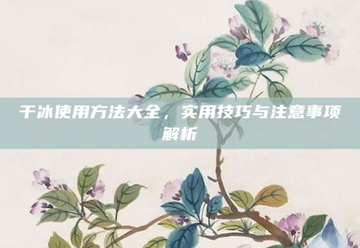 干冰使用方法大全，实用技巧与注意事项解析