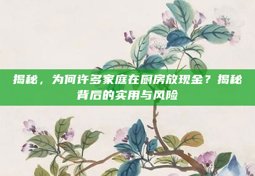 揭秘，为何许多家庭在厨房放现金？揭秘背后的实用与风险