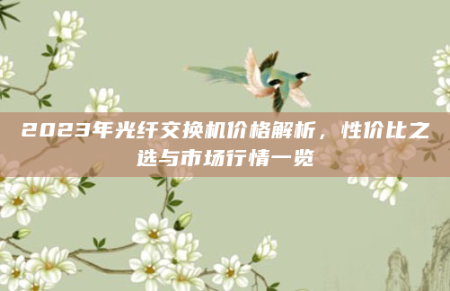 2023年光纤交换机价格解析，性价比之选与市场行情一览