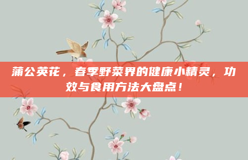蒲公英花，春季野菜界的健康小精灵，功效与食用方法大盘点！