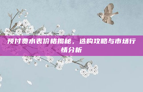 预付费水表价格揭秘，选购攻略与市场行情分析