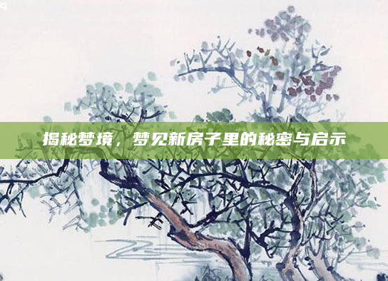 揭秘梦境，梦见新房子里的秘密与启示