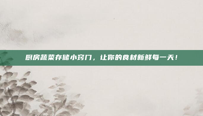 厨房蔬菜存储小窍门，让你的食材新鲜每一天！