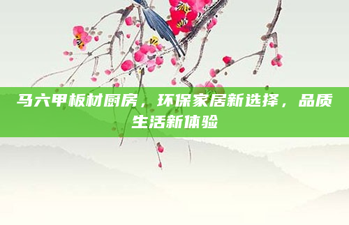 马六甲板材厨房，环保家居新选择，品质生活新体验