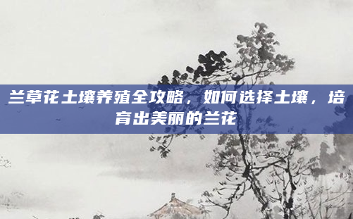 兰草花土壤养殖全攻略，如何选择土壤，培育出美丽的兰花