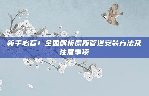 新手必看！全面解析厕所管道安装方法及注意事项