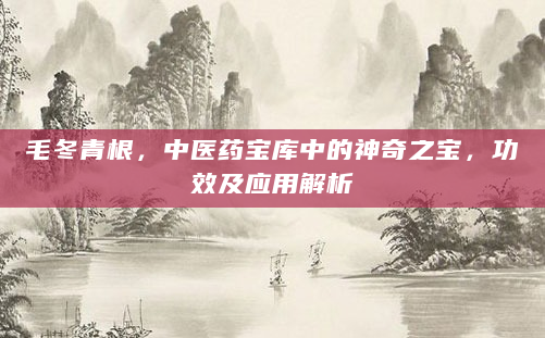 毛冬青根，中医药宝库中的神奇之宝，功效及应用解析