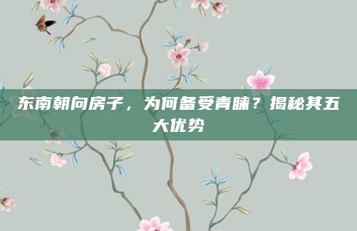东南朝向房子，为何备受青睐？揭秘其五大优势