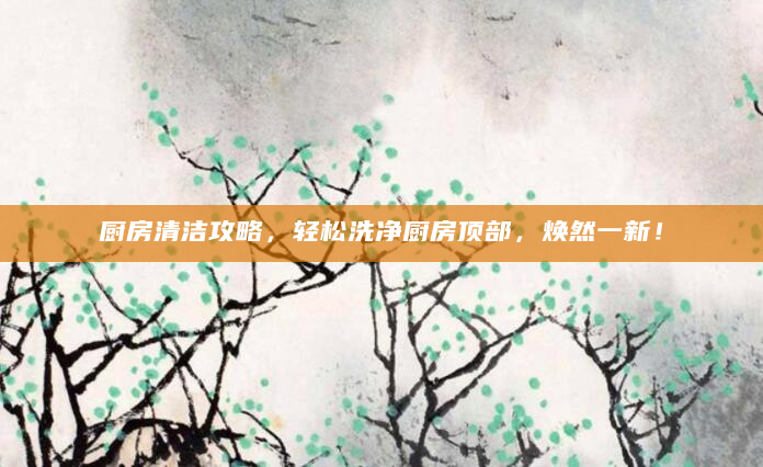 厨房清洁攻略，轻松洗净厨房顶部，焕然一新！