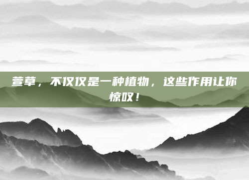 萱草，不仅仅是一种植物，这些作用让你惊叹！