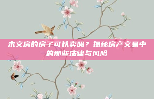 未交房的房子可以卖吗？揭秘房产交易中的那些法律与风险