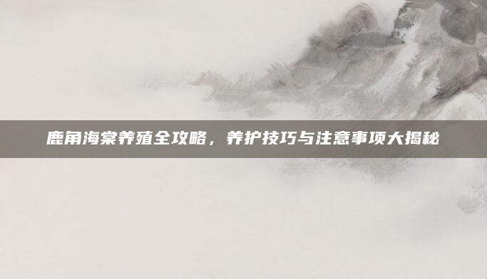 鹿角海棠养殖全攻略，养护技巧与注意事项大揭秘