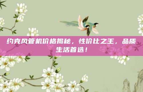 约克风管机价格揭秘，性价比之王，品质生活首选！