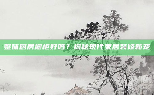 整体厨房橱柜好吗？揭秘现代家居装修新宠