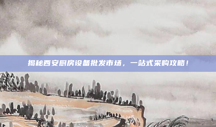 揭秘西安厨房设备批发市场，一站式采购攻略！