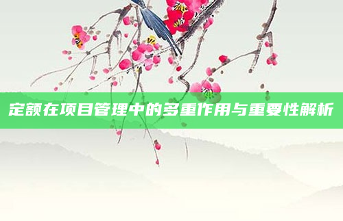 定额在项目管理中的多重作用与重要性解析
