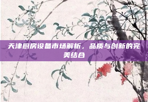 天津厨房设备市场解析，品质与创新的完美结合