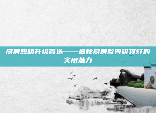 厨房照明升级首选——揭秘厨房欧普吸顶灯的实用魅力