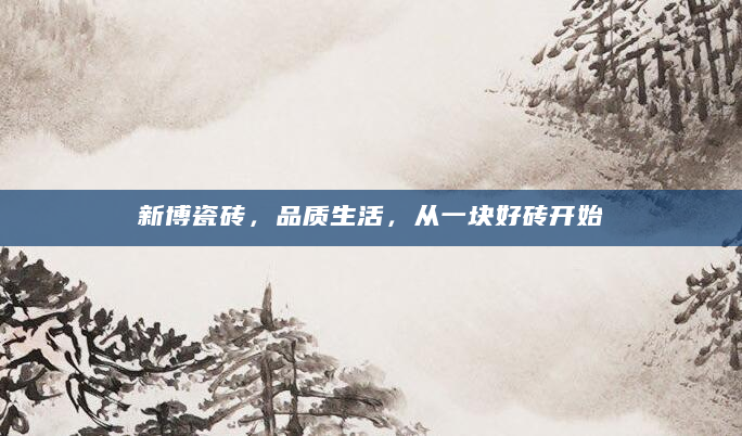 新博瓷砖，品质生活，从一块好砖开始