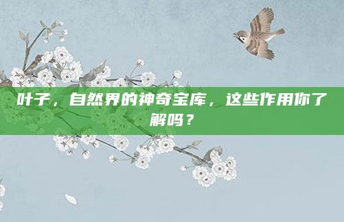 叶子，自然界的神奇宝库，这些作用你了解吗？