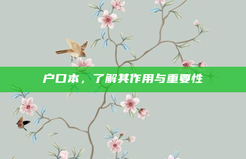 户口本，了解其作用与重要性
