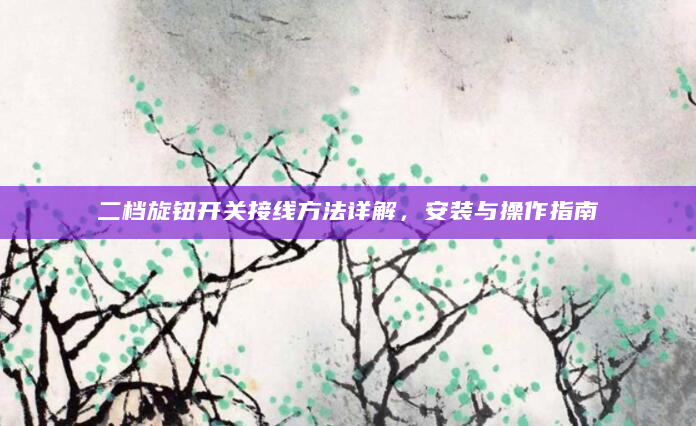 二档旋钮开关接线方法详解，安装与操作指南