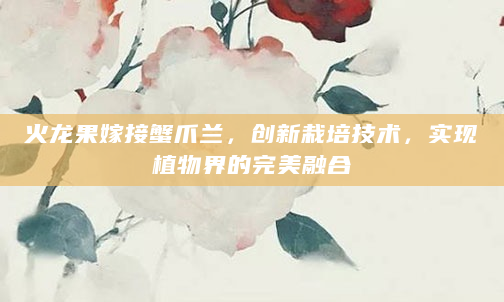 火龙果嫁接蟹爪兰，创新栽培技术，实现植物界的完美融合