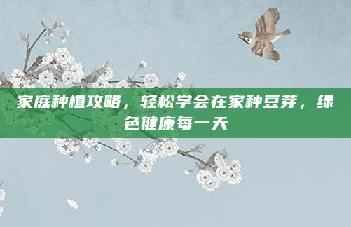 家庭种植攻略，轻松学会在家种豆芽，绿色健康每一天