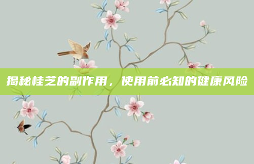 揭秘桂芝的副作用，使用前必知的健康风险