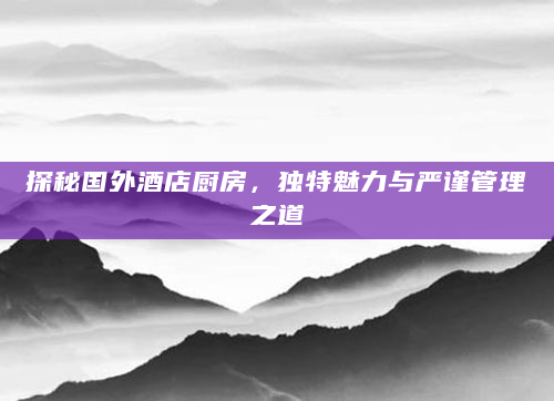探秘国外酒店厨房，独特魅力与严谨管理之道