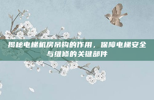 揭秘电梯机房吊钩的作用，保障电梯安全与维修的关键部件