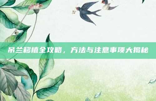 吊兰移植全攻略，方法与注意事项大揭秘
