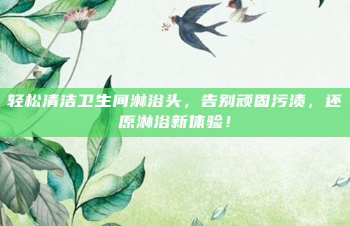 轻松清洁卫生间淋浴头，告别顽固污渍，还原淋浴新体验！