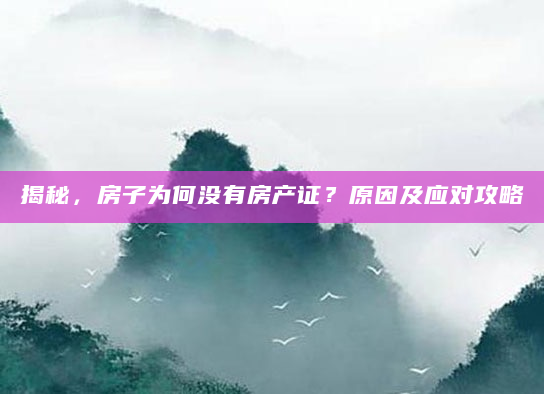 揭秘，房子为何没有房产证？原因及应对攻略
