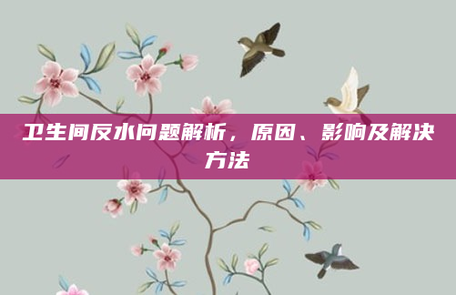 卫生间反水问题解析，原因、影响及解决方法