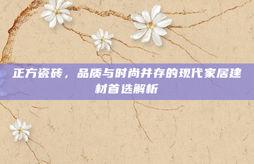 正方瓷砖，品质与时尚并存的现代家居建材首选解析