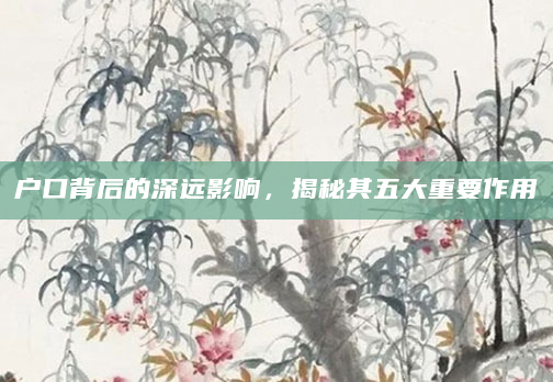 户口背后的深远影响，揭秘其五大重要作用