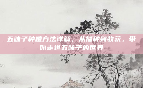 五味子种植方法详解，从播种到收获，带你走进五味子的世界
