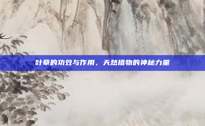 叶草的功效与作用，天然植物的神秘力量