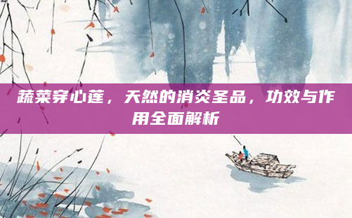 蔬菜穿心莲，天然的消炎圣品，功效与作用全面解析