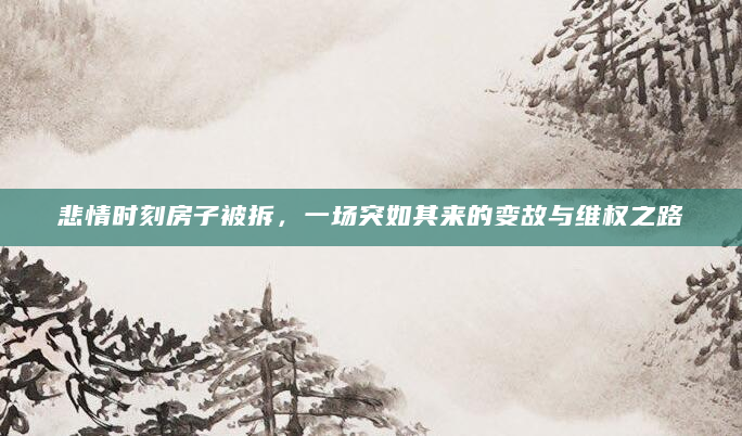 悲情时刻房子被拆，一场突如其来的变故与维权之路