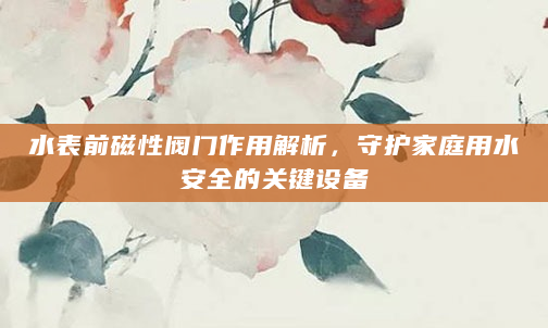 水表前磁性阀门作用解析，守护家庭用水安全的关键设备
