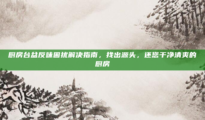 厨房台盆反味困扰解决指南，找出源头，还您干净清爽的厨房