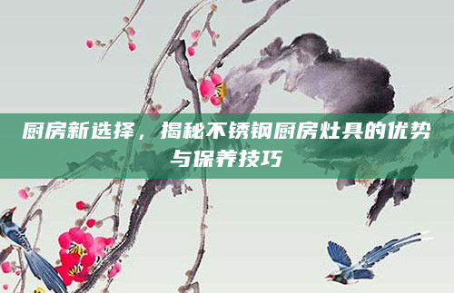厨房新选择，揭秘不锈钢厨房灶具的优势与保养技巧