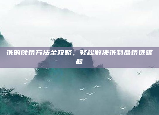 铁的除锈方法全攻略，轻松解决铁制品锈迹难题