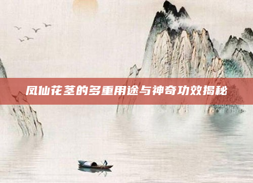 凤仙花茎的多重用途与神奇功效揭秘