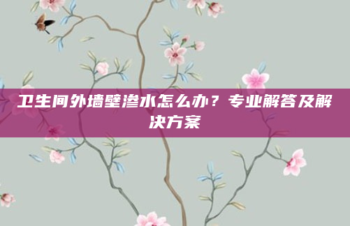卫生间外墙壁渗水怎么办？专业解答及解决方案