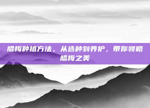 腊梅种植方法，从选种到养护，带你领略腊梅之美